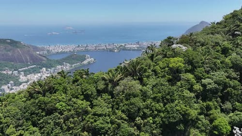 Atlantic Forest In Downtown Rio De Janeiro Brazil. Tijuca Forest