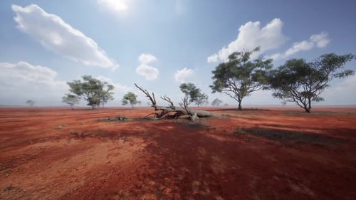 Vast African Savanna Landscape Under a Bright Sky with Scattered Trees and Soil
