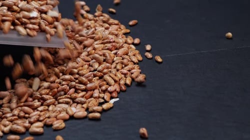 Pinto Beans Cascading onto a Black Surface