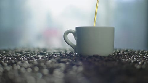Coffee Stream Poured into Mug on Coffee Beans