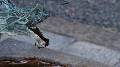 Old oxidized bronze temple dragon drips water from mouth, close up
