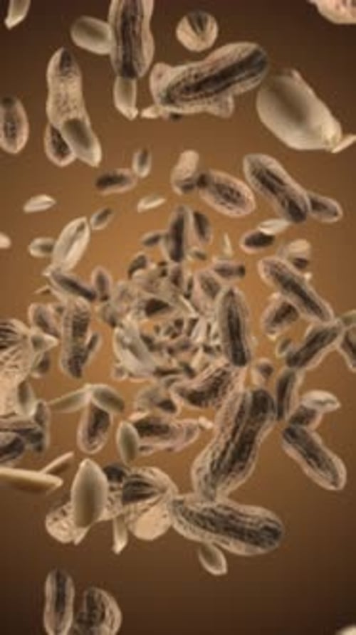 Falling Peanuts and Kernels Animation