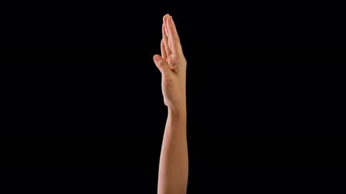 Animated Hand Gestures: Raising, Fist, and Thumbs Up