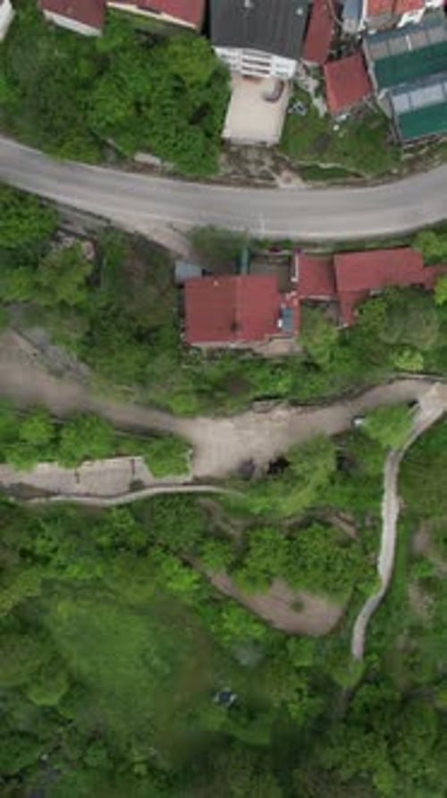 Green Village Built In Forest