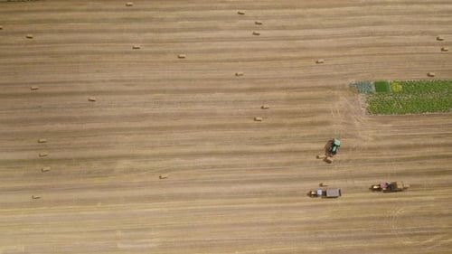 Aerial top down shot of farm vehicles and machinery harvesting on wheat field and transporting bales