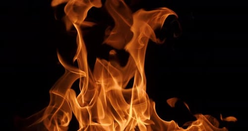 Intense Golden Flames Dancing on Black Background