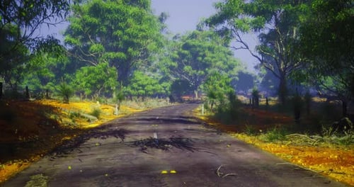 Road Winding Through Lush Green Foliage in the Countryside at Midday