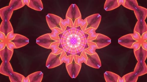 Party VJ loop flower abstract background kaleidoscope