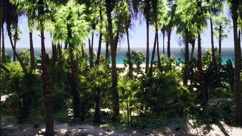 Sunny Tropical Beach with Swaying Palm Trees