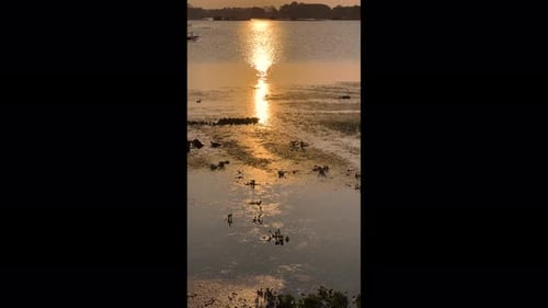 The golden sun dips below the horizon, casting a warm glow over the serene sunset lake.