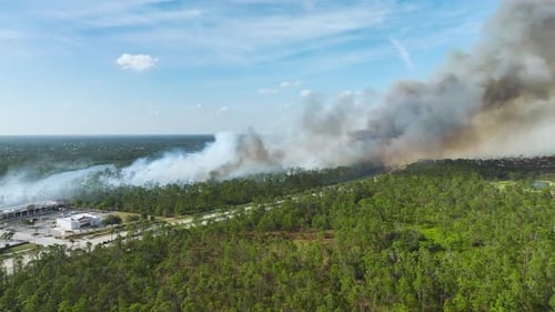 Aerial View of Fire Department Firetrucks Extinguishing Wildfire Burning Severely in Florida Jungle