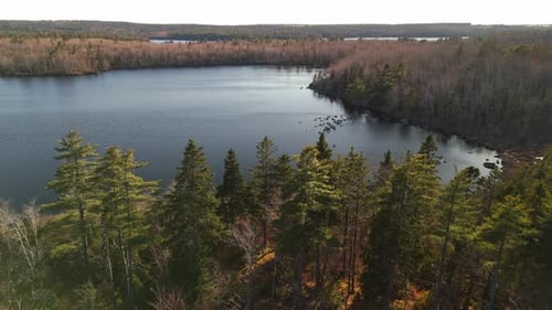 Canadian Wildlife Forest with Long Lake Cinematic View From a Drone Halifax