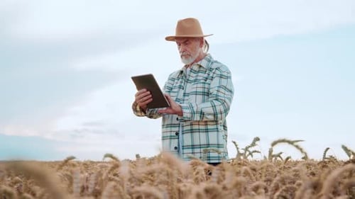 Portrait of Farmer Agronomist Man with a Hat Uses a Tablet Computer Looking Around in a Wheat Field