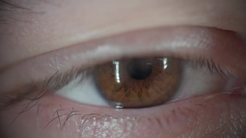 Hazel Eye Opens in Extreme Close Up