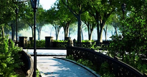 Serene Pathway Through Lush Greenery in a Peaceful Park Setting