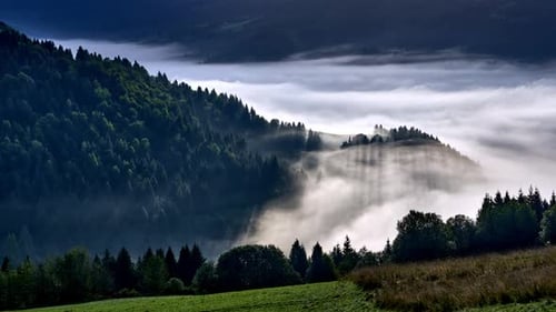 Zeitraffer des treibenden Nebels über grünen Wiesen und bewaldeten Hügeln