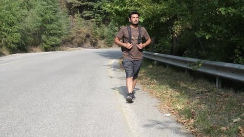 Aktivität im Wald