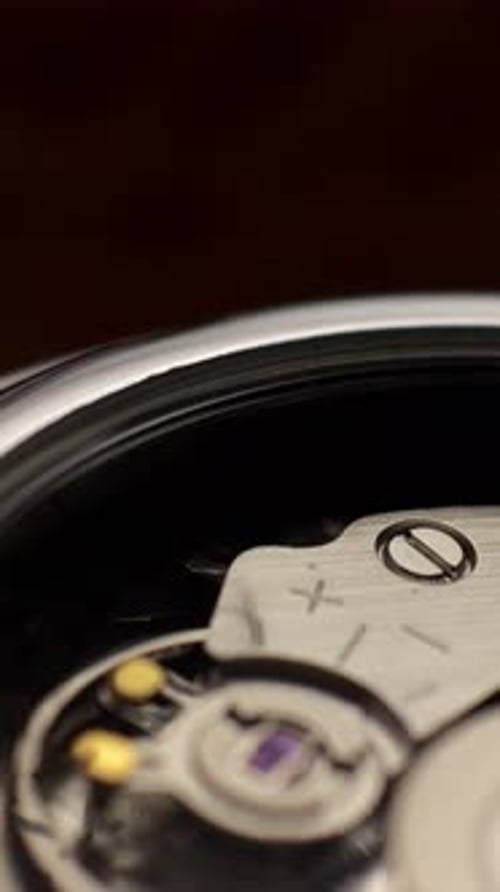 Macro View of Intricate Watch Mechanism