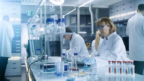 Scientists Working Diligently in a Brightly Lit Laboratory