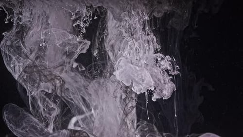Abstract Black and White Ink in Water