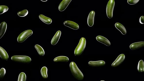 Falling Avocados Seamless Loop Animated Background