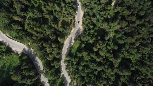 Flight Over A Car Moving On An Asphalt Road Through Pine Forest In Mountains 4