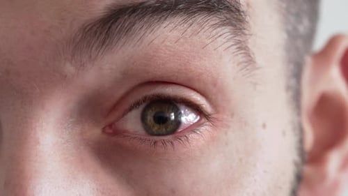 Red eye looking into camera, closeup