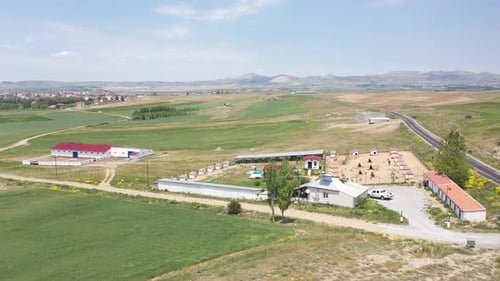 Vue aérienne de la ferme canine de Kangal