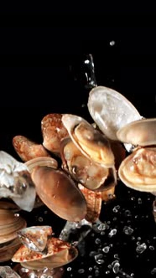 Des moules fraîches avec de la glace et des citrons se lèvent et tombent filmées par une caméra à haute vitesse à 1000 images par seconde