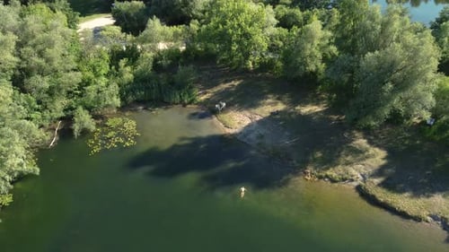 Unrecognisable man swims in pond