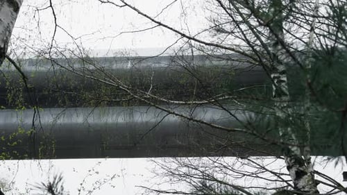 Um galho de árvore se estende sobre a água em uma paisagem natural