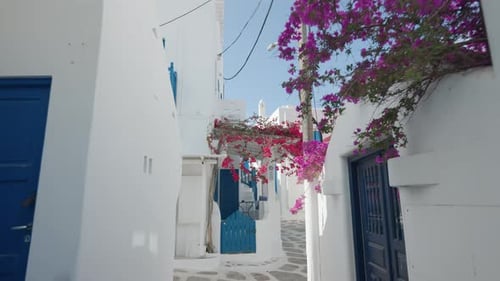 Casas com flores de buganvílias, Chora, Mykonos, Grécia