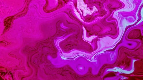 Vibrant Pink Magenta Fluid Abstract Looping Background