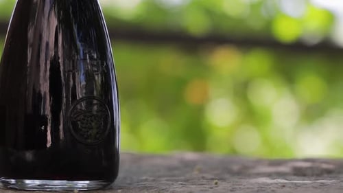 Vom Wein zur Traube