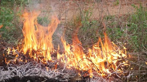 Wildfire rages consuming dry brush and vegetation