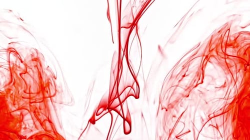 Abstract Red Ink Swirling in Water on White