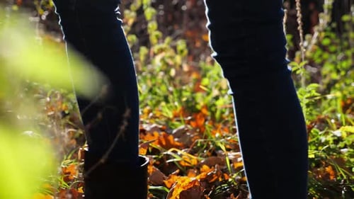 Low View to Female Feet in Boots Going Along Trail on Fallen Dry Leaves Legs of Young Woman Stepping