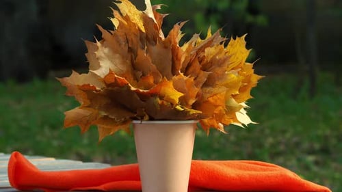 Ahornorange und gelbe trockene Blätter in einem Pappglas vor dem Hintergrund von Wald und Herbst