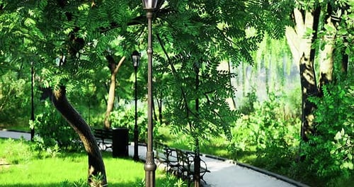 Unwinding in a Tranquil Green Park with Natures Serene Embrace