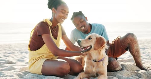 African couple, dog and beach for holiday, stroke and play with labrador for care