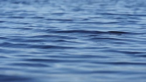 Gentle Ripples on the Surface of Blue Water