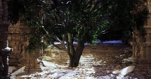 Lush Tree Surrounded By Ancient Stone Ruins in a Quiet Garden Setting