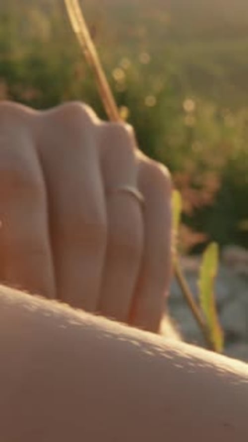A Woman is Peacefully Enjoying Nature in a Serene Meadow at Sunset Surrounded By Daisies The Gentle
