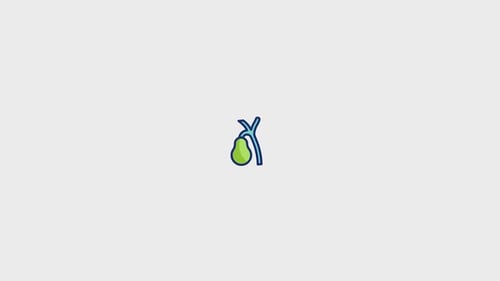 Gallbladder Animated Icon