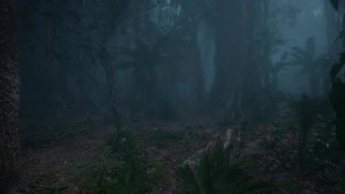 Rain And Thunder In The Forest