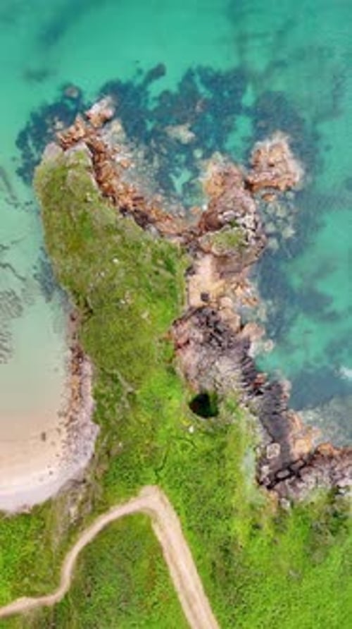 Green grass growing on the rocky beach Beautiful clear turquoise water washing the coast.
