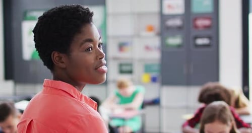 Portrait of diverse female teacher and schoolchildren at desks in school classroom