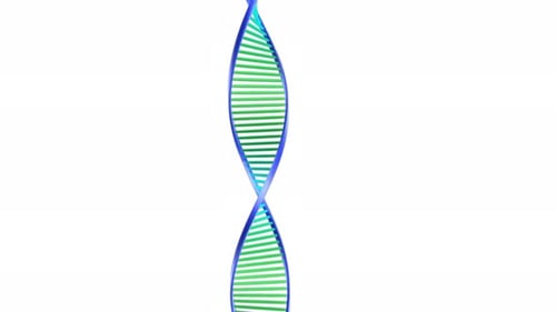 Rotating 3D DNA Double Helix Animation