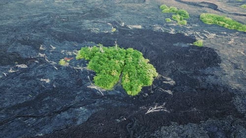 Aerial of Small Green Island Live Jungle Forest on Dead Volcanic Land Hawaii USA