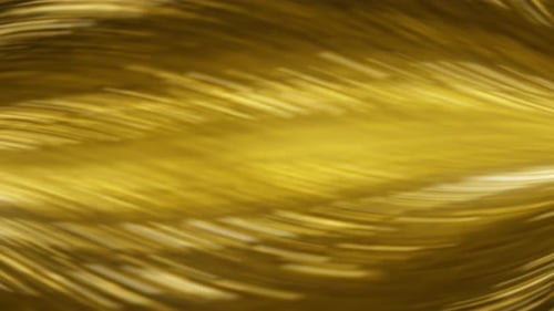 Abstract Fluid Golden Lines Shimmering Motion Background